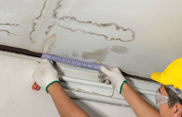 Reliable Mold Remediation contractor in Boiling Springs, NC by Water Damage Irwin